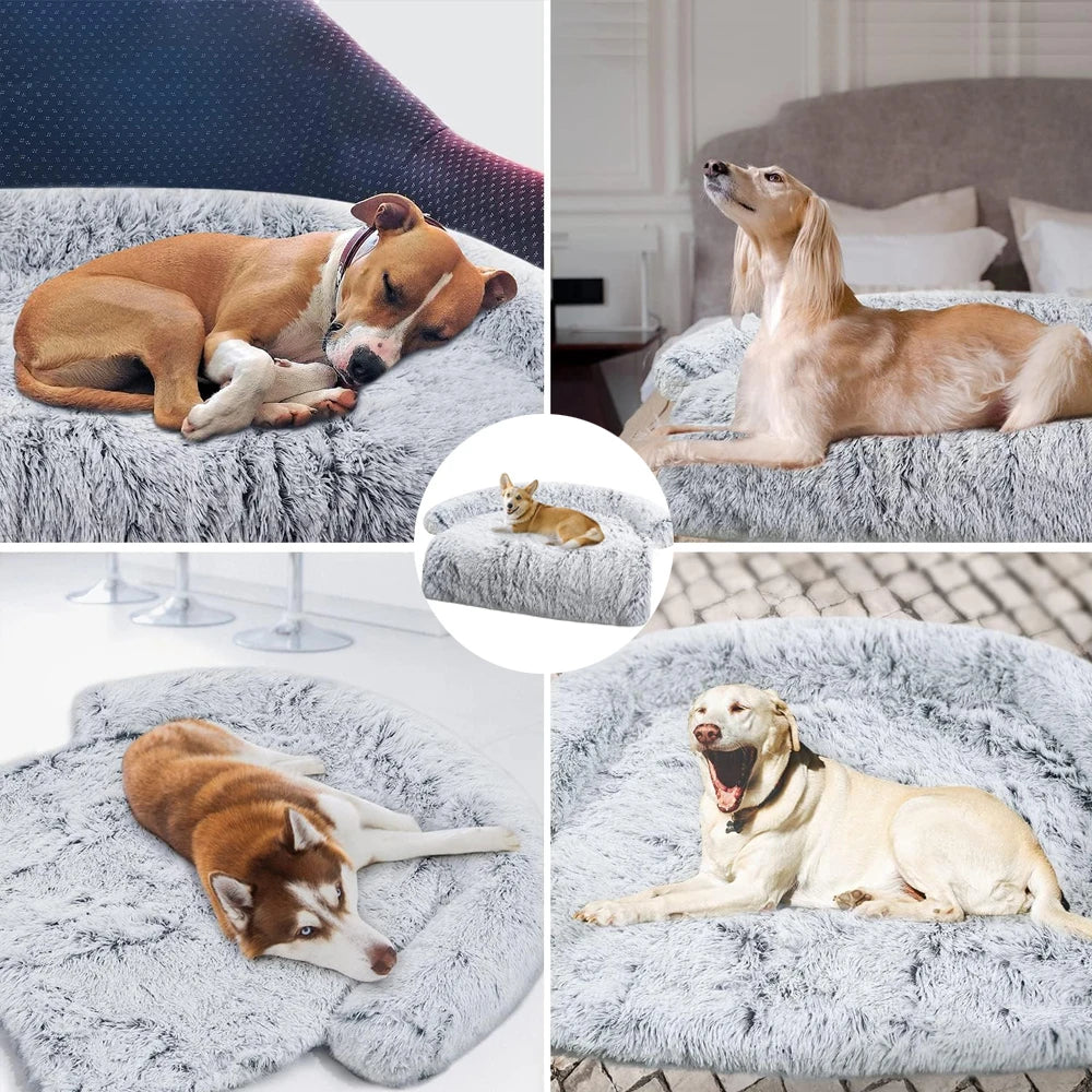 Plush Sofa-Shaped Rug for Pets Comfort, Style and Elegance for Winter Days