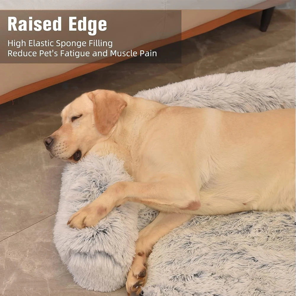 Plush Sofa-Shaped Rug for Pets Comfort, Style and Elegance for Winter Days