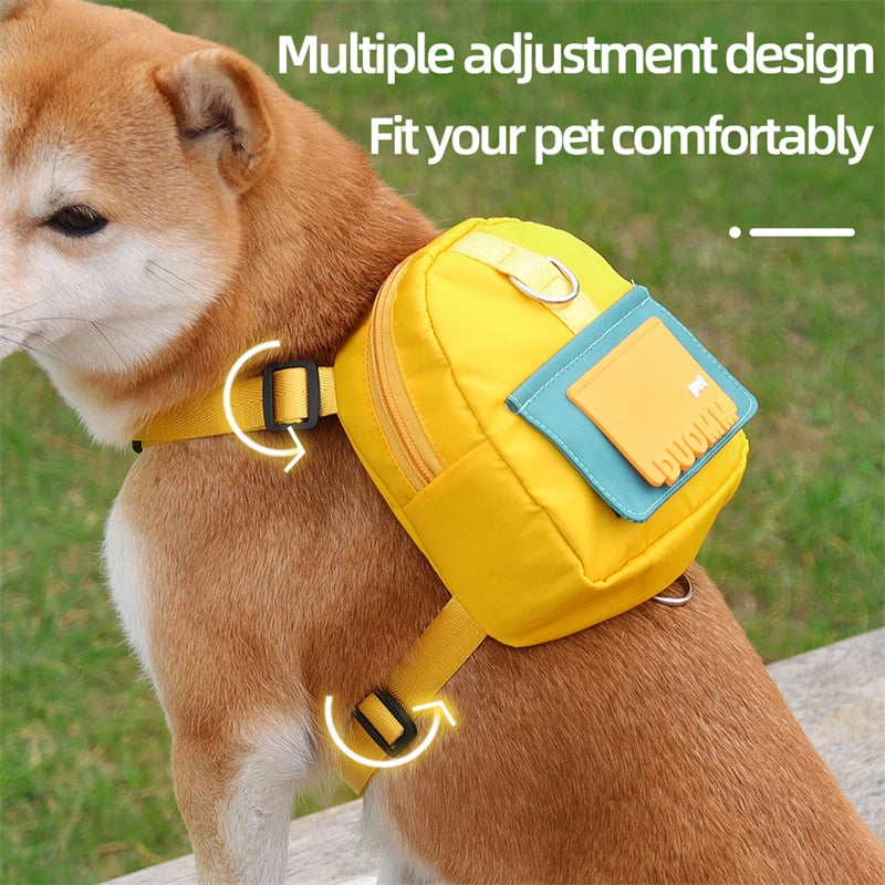 PetPack: Integrated Backpack and Leash