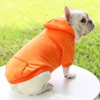 Winter Hooded Sweatshirt For Small And Medium Dogs Stylish Jacket