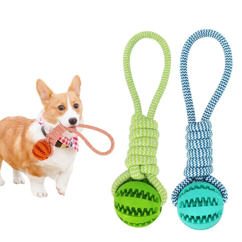 Interactive Dog Toy Ball with Rope Rubber Pet Treat Balls for Dog Cat Chewing Toys Teeth Cleaning Bite Toys Dog Accessories