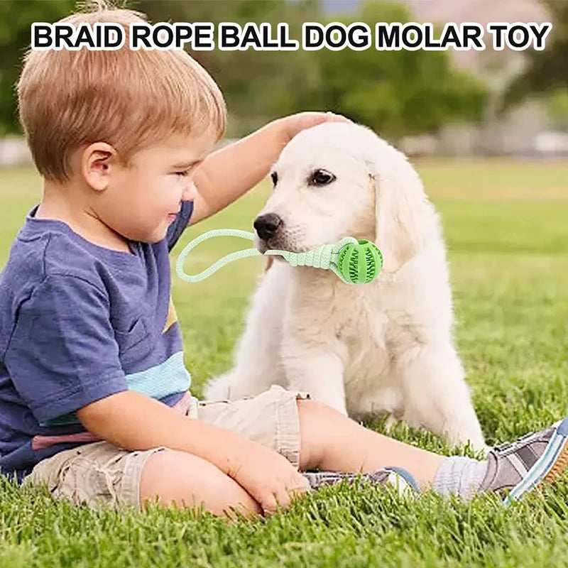 Interactive Dog Toy Ball with Rope Rubber Pet Treat Balls for Dog Cat Chewing Toys Teeth Cleaning Bite Toys Dog Accessories