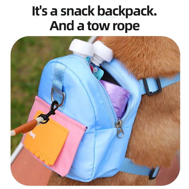 PetPack: Integrated Backpack and Leash