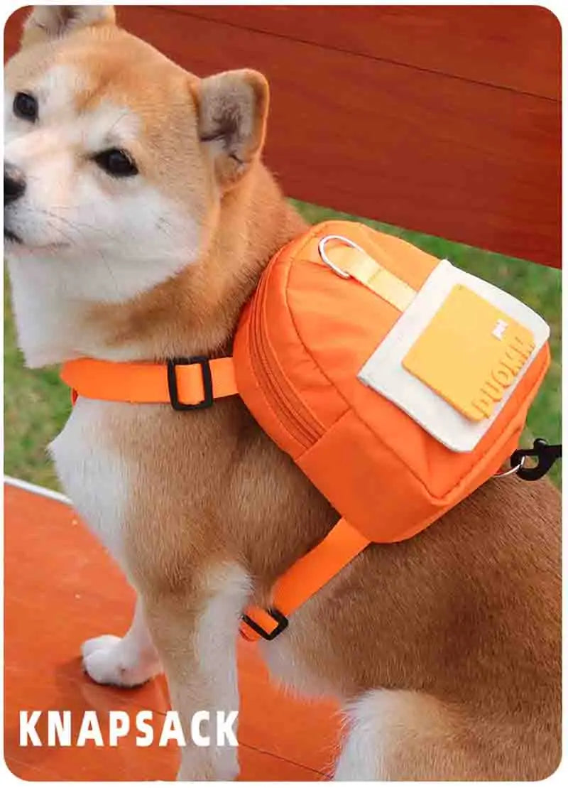 PetPack: Integrated Backpack and Leash