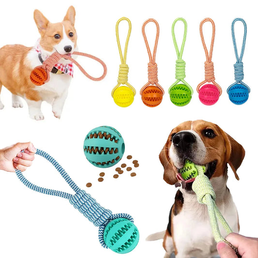 Interactive Dog Toy Ball with Rope Rubber Pet Treat Balls for Dog Cat Chewing Toys Teeth Cleaning Bite Toys Dog Accessories