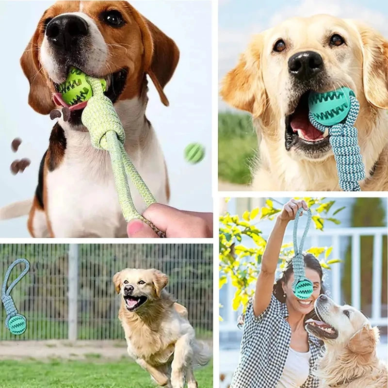 Interactive Dog Toy Ball with Rope Rubber Pet Treat Balls for Dog Cat Chewing Toys Teeth Cleaning Bite Toys Dog Accessories