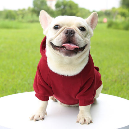 Winter Hooded Sweatshirt For Small And Medium Dogs Stylish Jacket